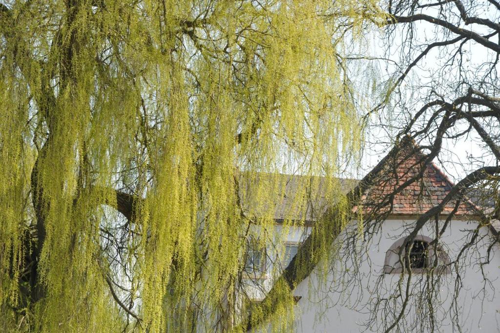 Zeiskamer Muehle Exterior foto